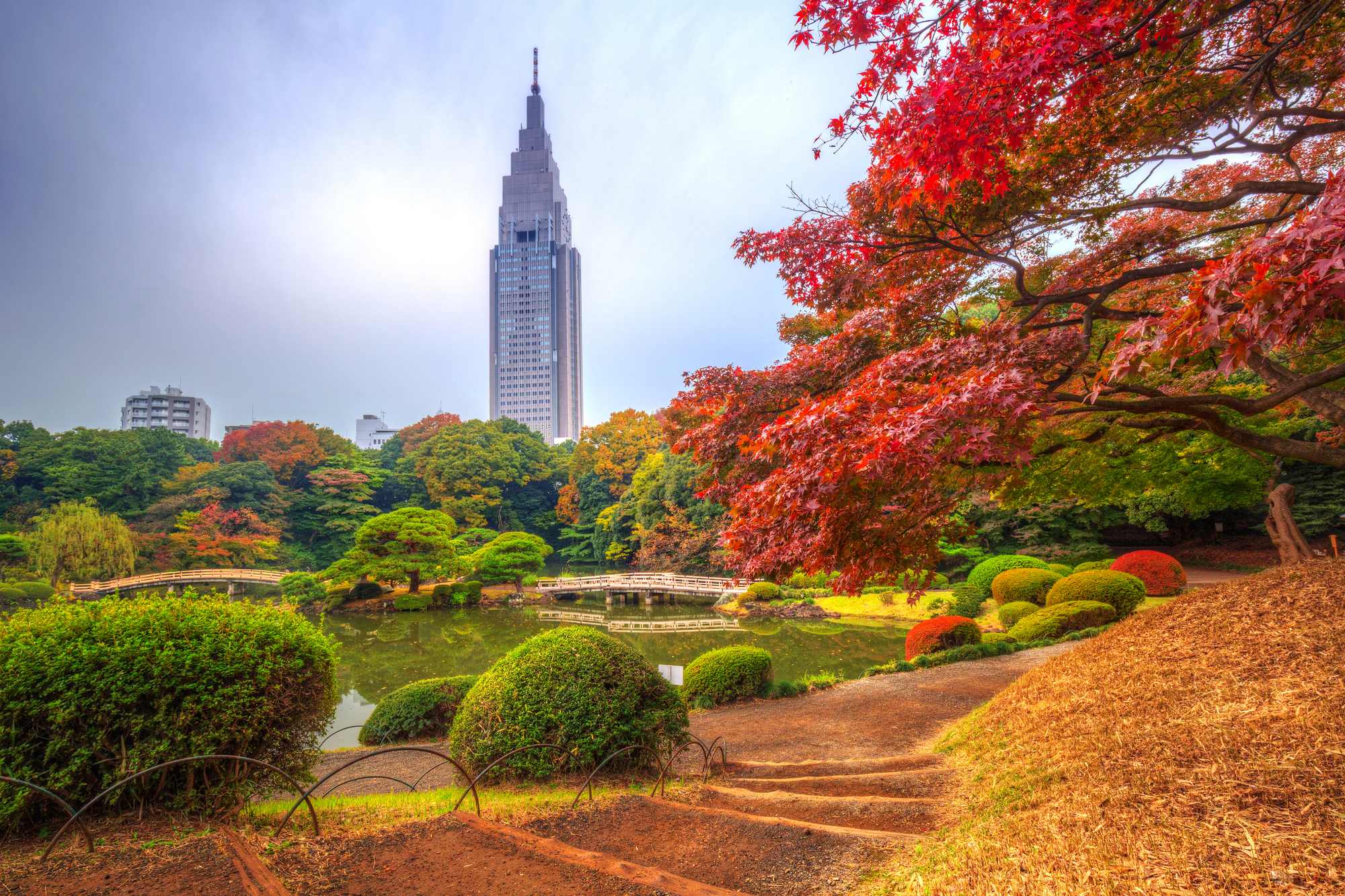 shinjukugyoen.jpg