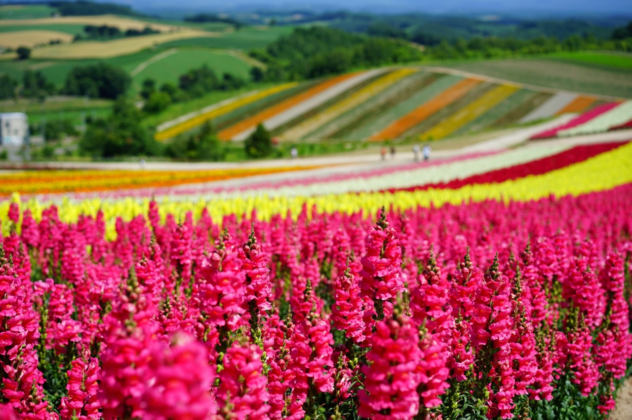 image_2026-07-29_15-33-38.png