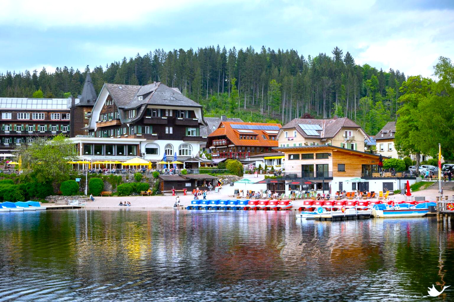 lake 1.jpg