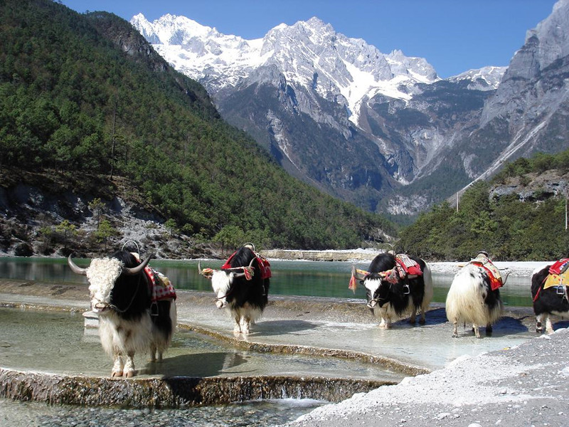 Blue-Moon-Valley-and-Baishuihe-River-Lijiang-12.jpg